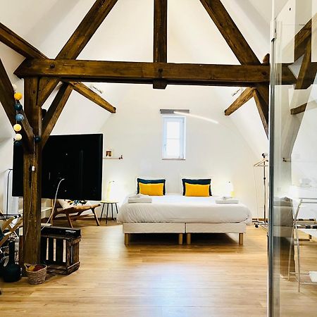 Le Loft Appartement Colmar Buitenkant foto