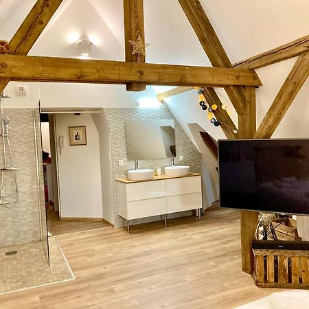 Le Loft Appartement Colmar Buitenkant foto