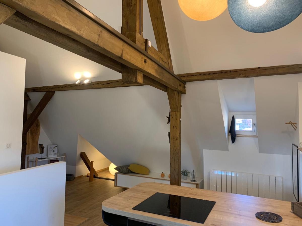 Le Loft Appartement Colmar Buitenkant foto