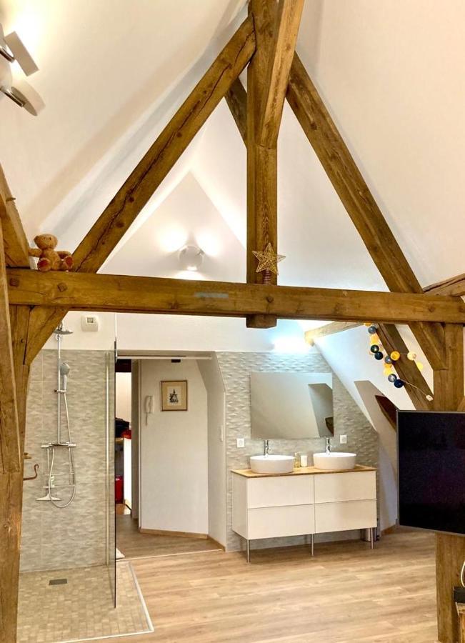 Le Loft Appartement Colmar Buitenkant foto
