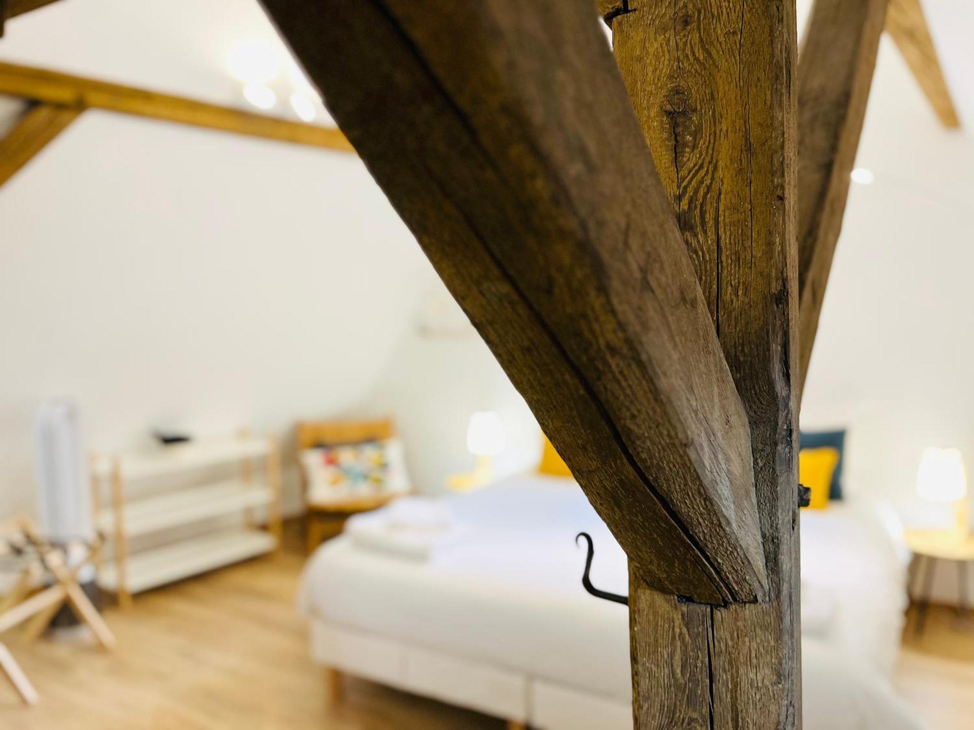 Le Loft Appartement Colmar Buitenkant foto