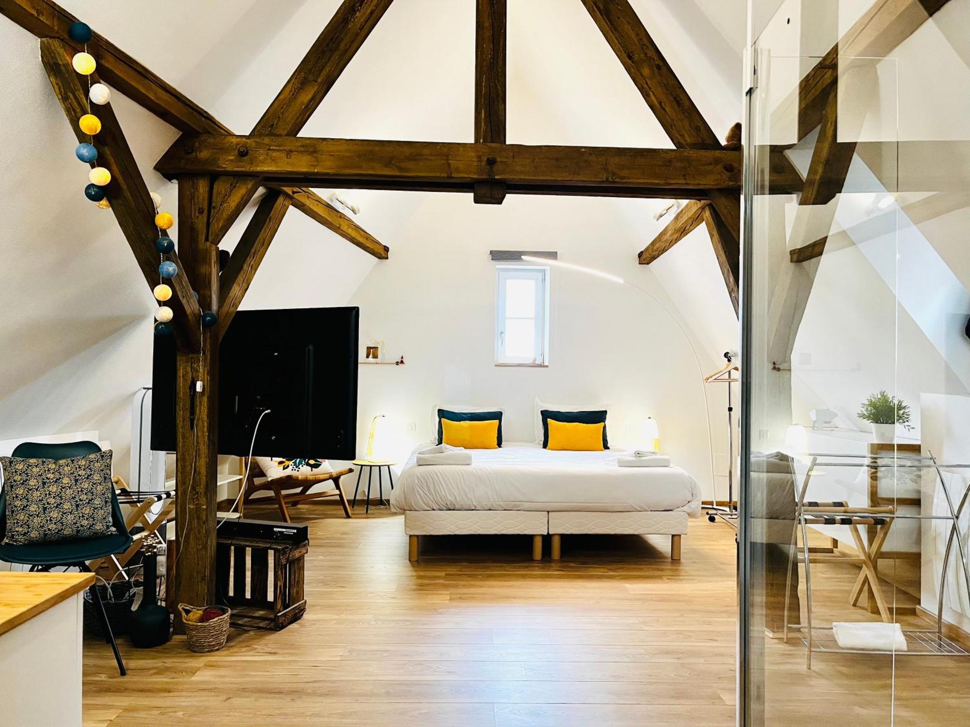 Le Loft Appartement Colmar Buitenkant foto