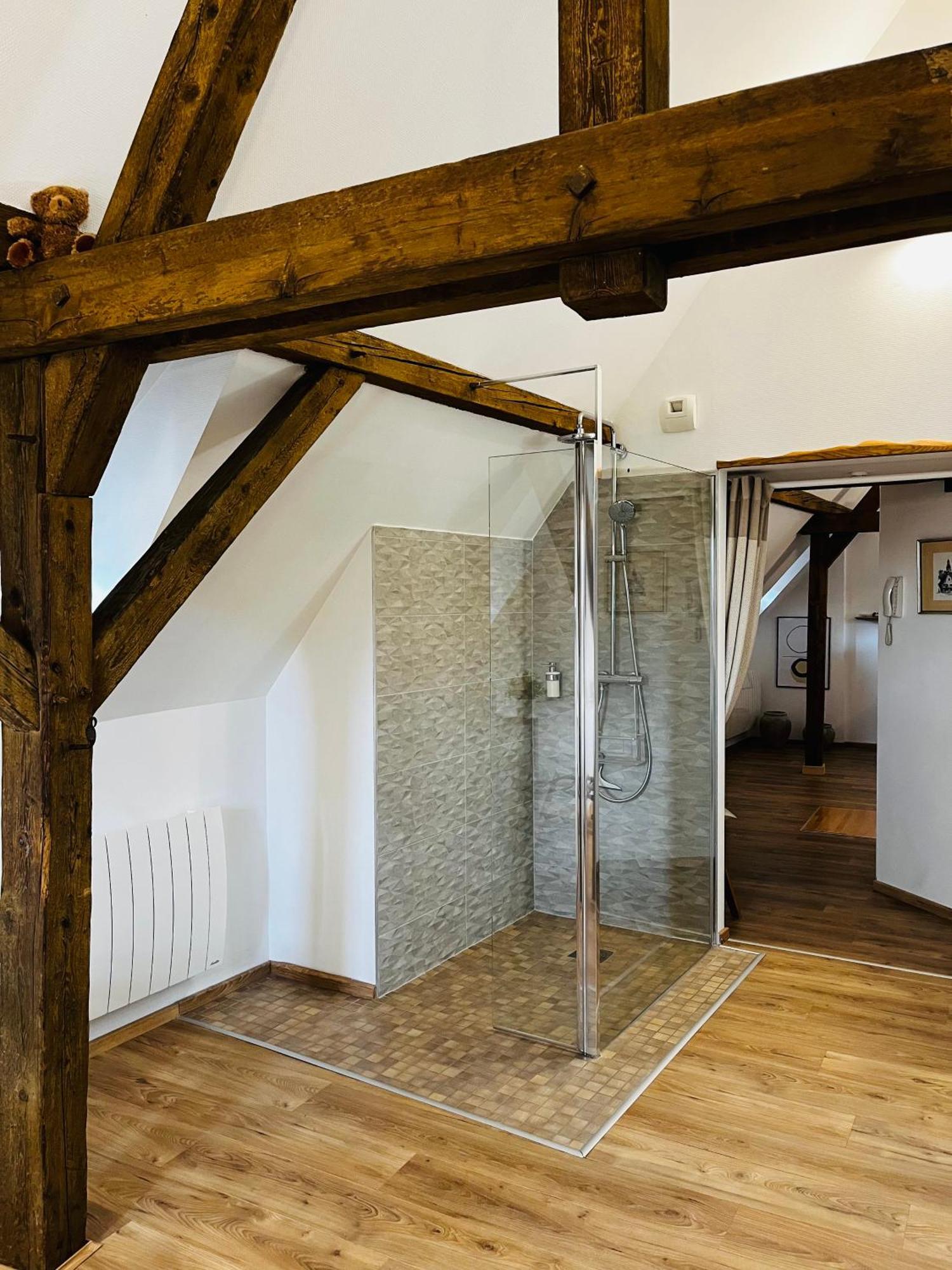 Le Loft Appartement Colmar Buitenkant foto