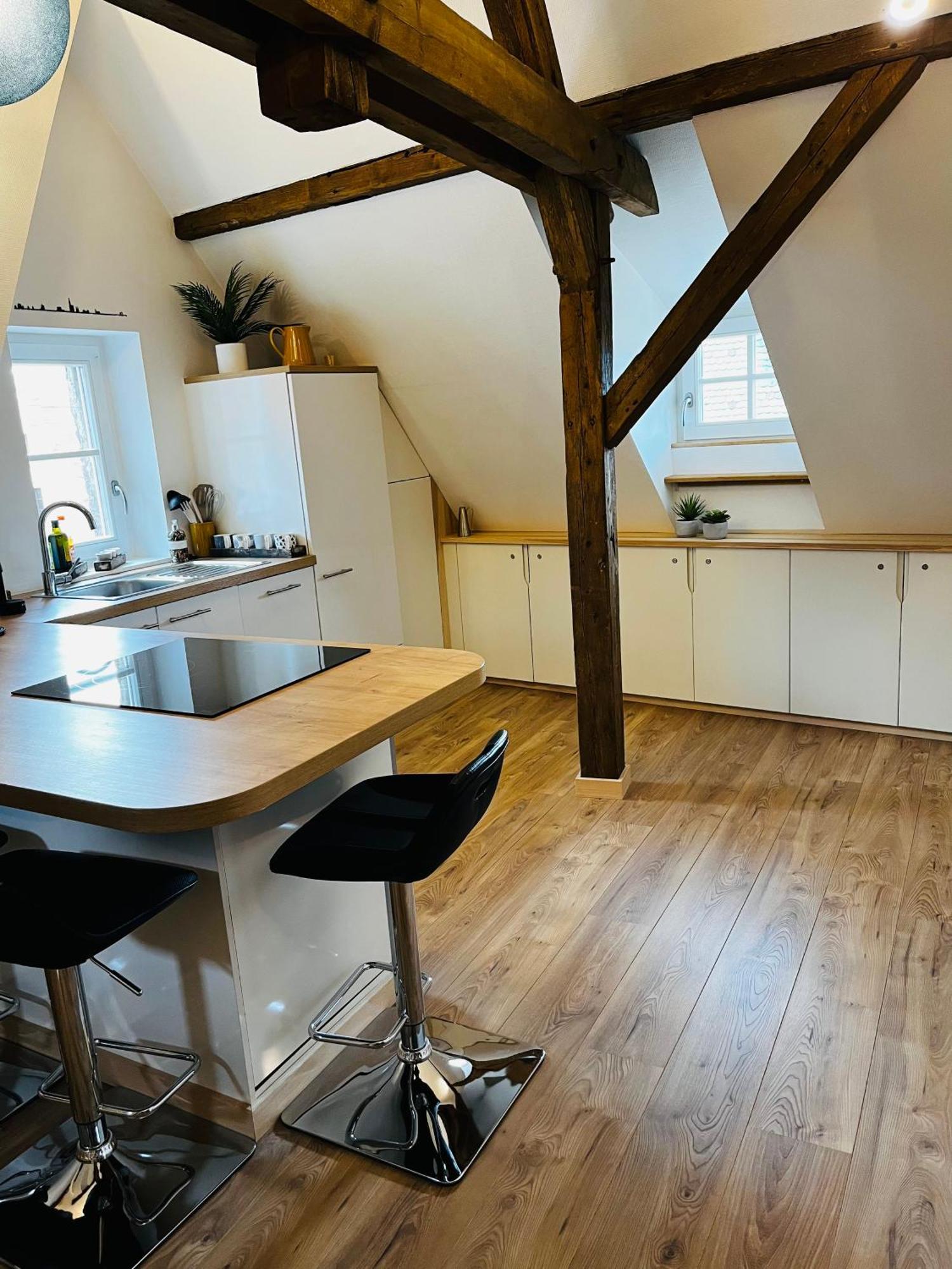 Le Loft Appartement Colmar Buitenkant foto